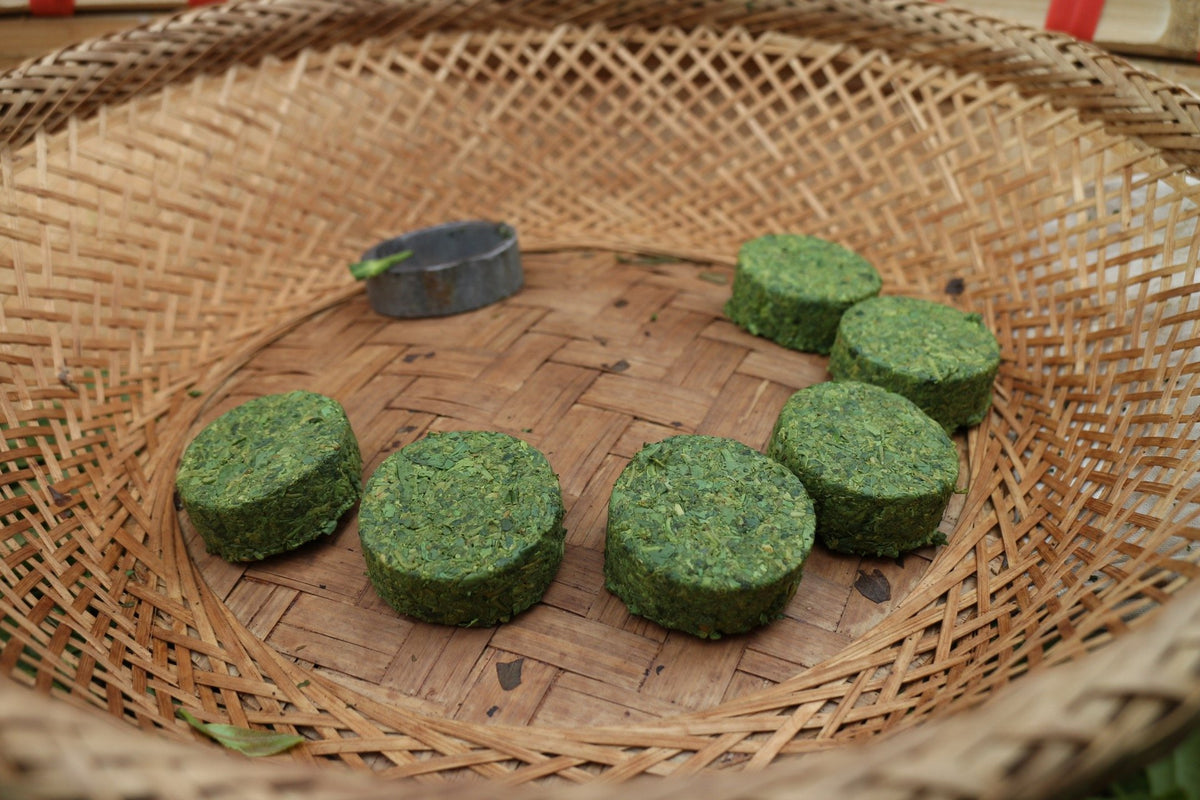 A Thousand-Year-Old Tea – nannuoshan_usa