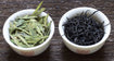 Difference between green and black tea
